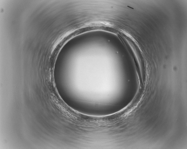 X0000054470973200508191723