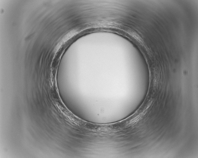 X0000054470974200508191723