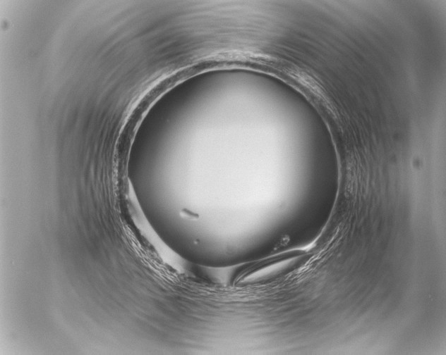 X0000054470976200508191723