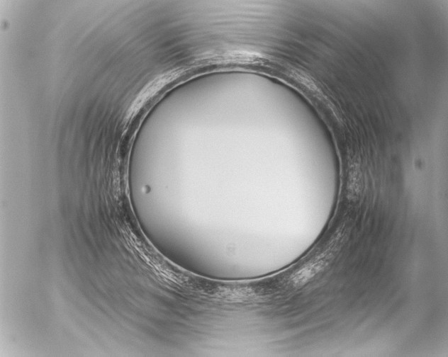 X0000054470978200508191723