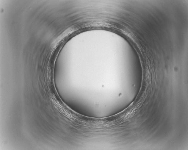 X0000054470979200508191723