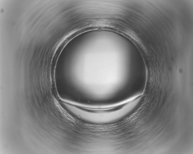 X0000054470980200508191723