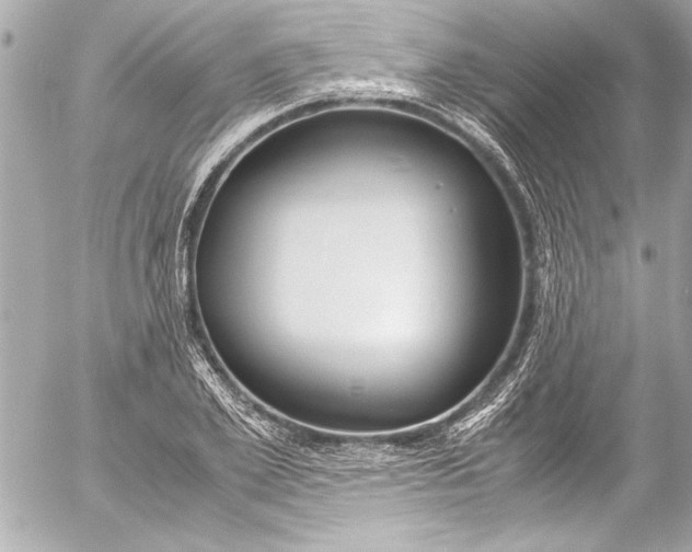 X0000054470981200508191723