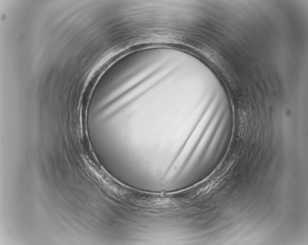 X0000054470982200508191723