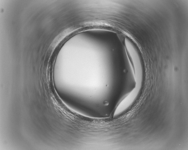 X0000054470983200508191723