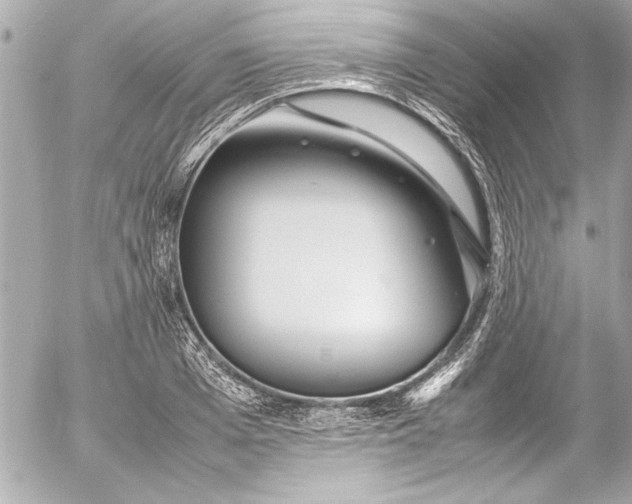 X0000054470985200508191723