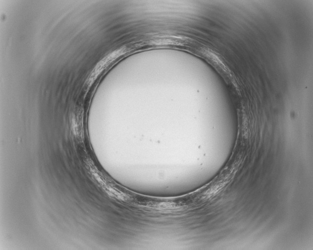 X0000054470986200508191723