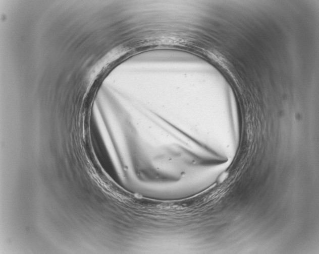 X0000054470987200508191723