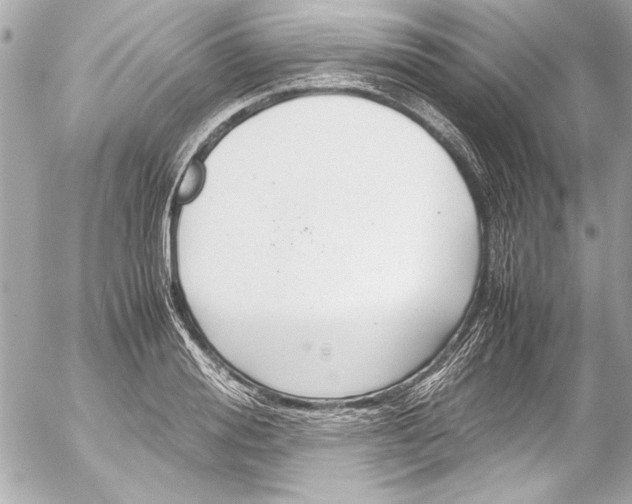 X0000054470988200508191723