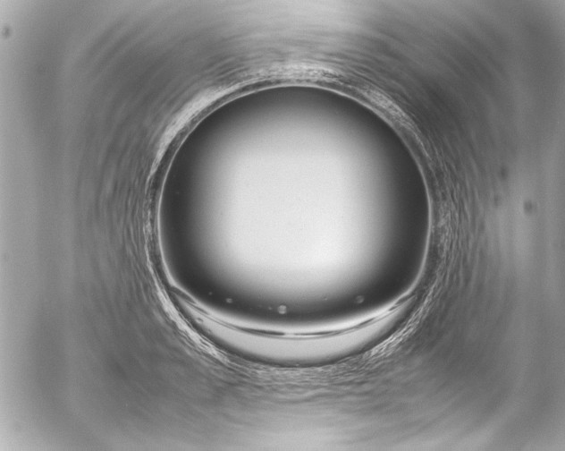 X0000054470989200508191723