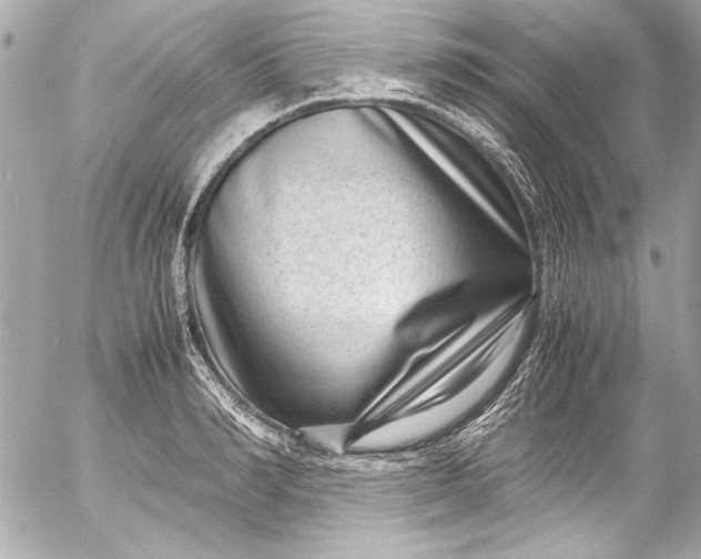 X0000054470990200508191723