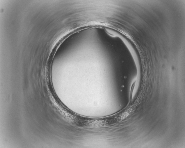 X0000054470991200508191723