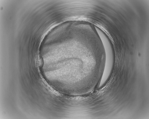 X0000054470992200508191723