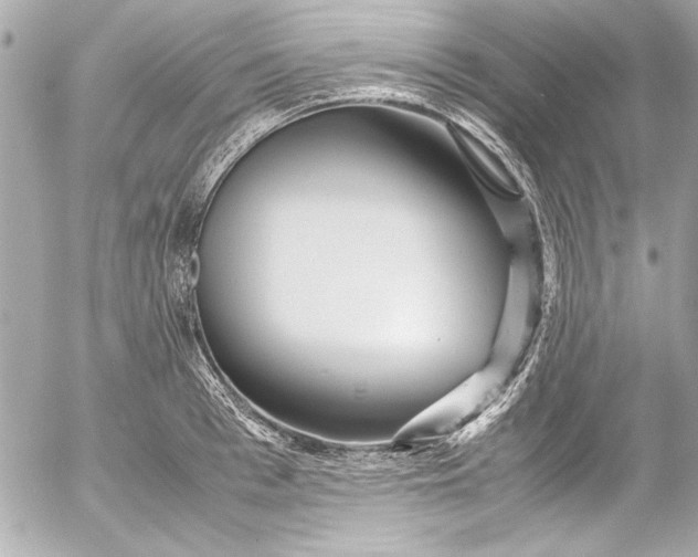 X0000054470993200508191723