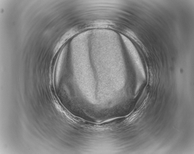 X0000054470994200508191723