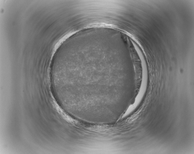 X0000054470995200508191723