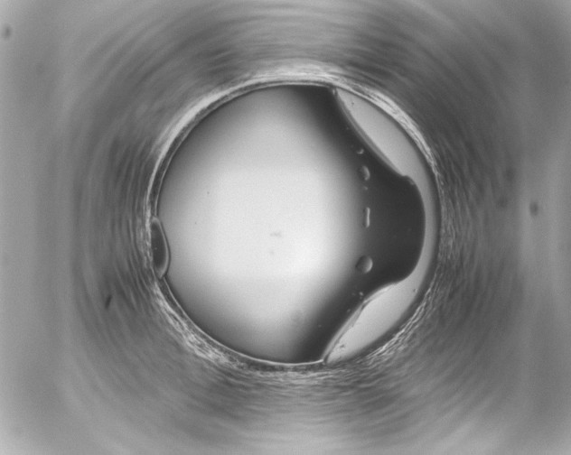 X0000054470996200508191723