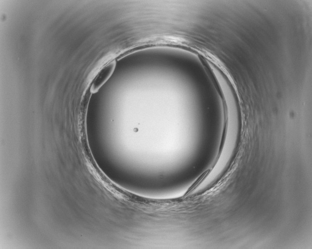 X0000054470997200508191723