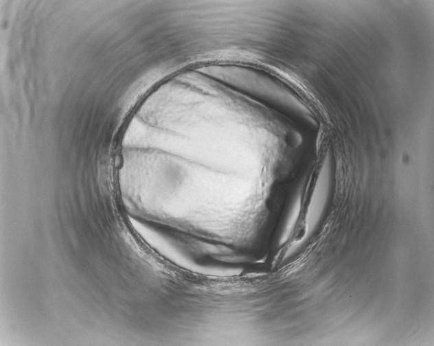 X0000054470998200508191723