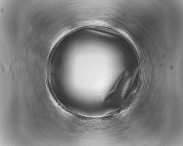 X0000054470999200508191723