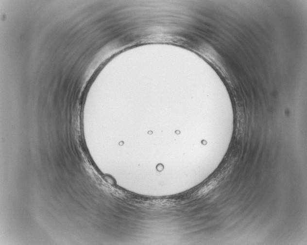 X0000054471000200508191723