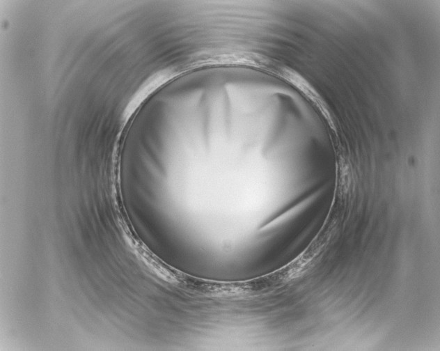 X0000054471002200508191723