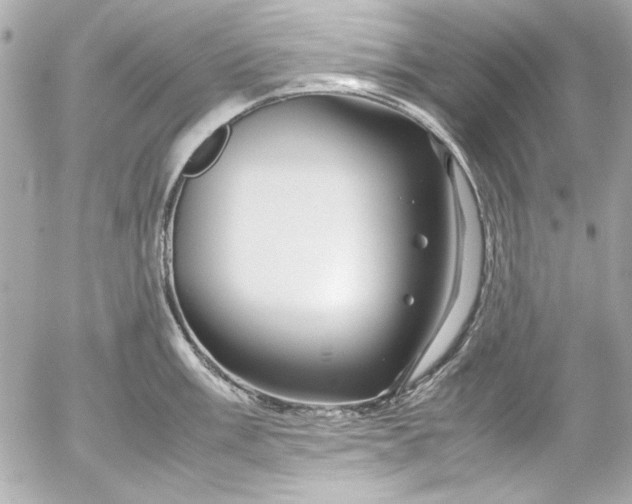 X0000054471003200508191723