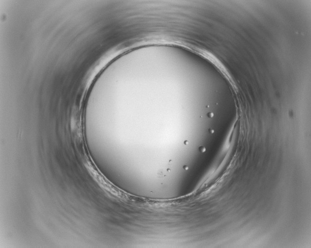 X0000054471004200508191723