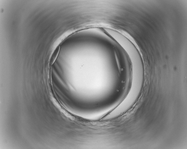 X0000054471005200508191723