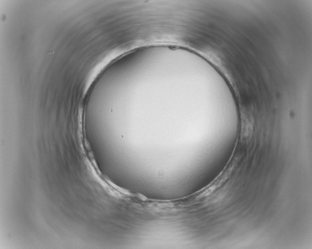 X0000054471006200508191723