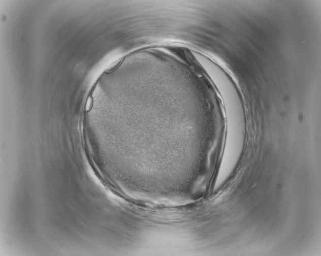 X0000054471007200508191723