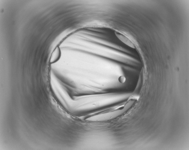 X0000054471008200508191723