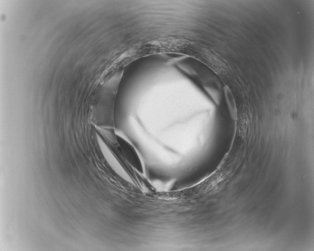 X0000054471010200508191722