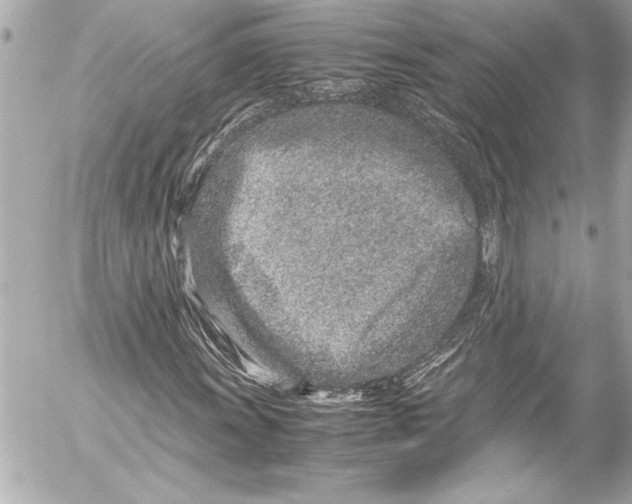 X0000054471011200508191722