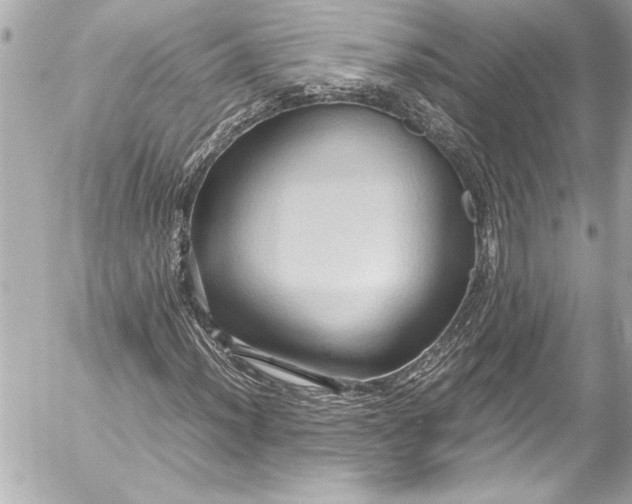 X0000054471012200508191722