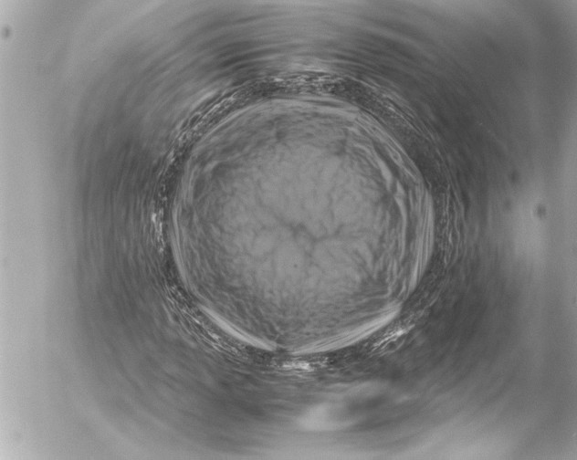 X0000054471013200508191722