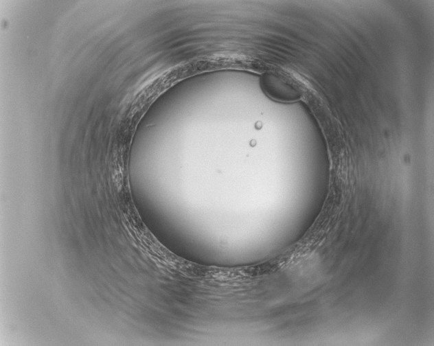 X0000054471015200508191722