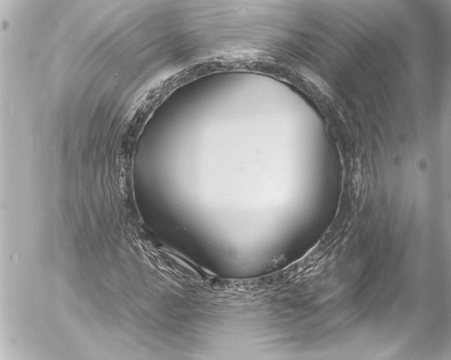 X0000054471016200508191722