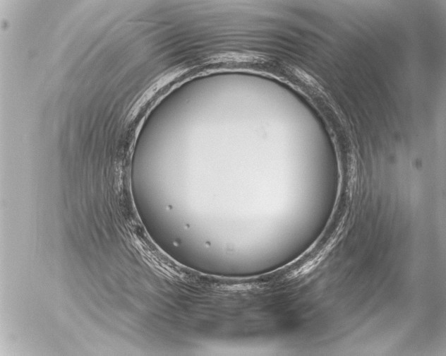 X0000054471017200508191722