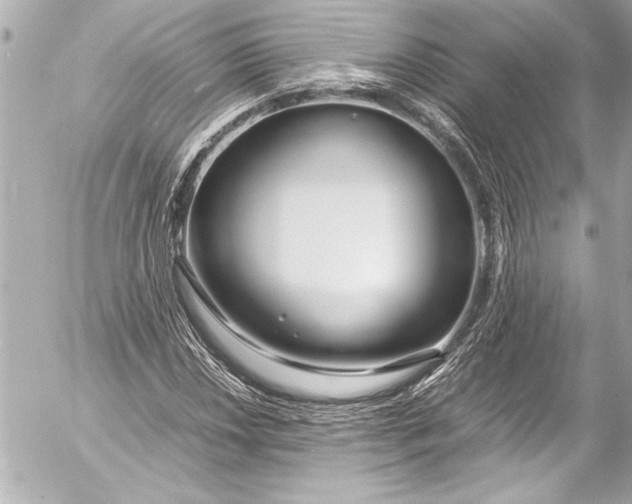 X0000054471018200508191722