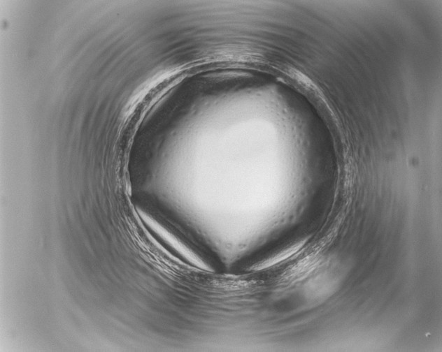 X0000054471019200508191722