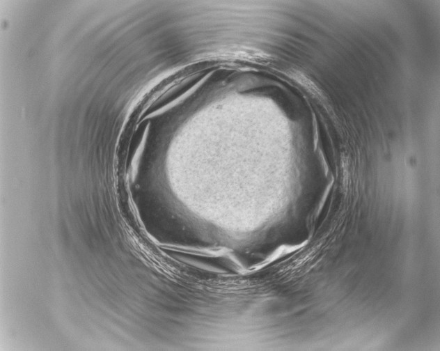 X0000054471020200508191722