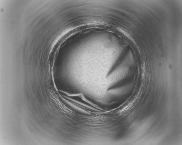 X0000054471021200508191722