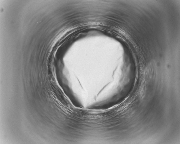 X0000054471023200508191722