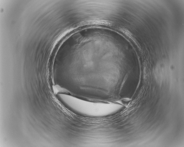 X0000054471024200508191722