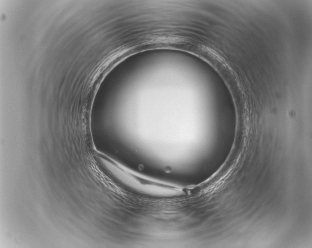 X0000054471025200508191722