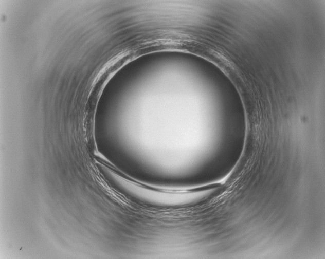 X0000054471026200508191722