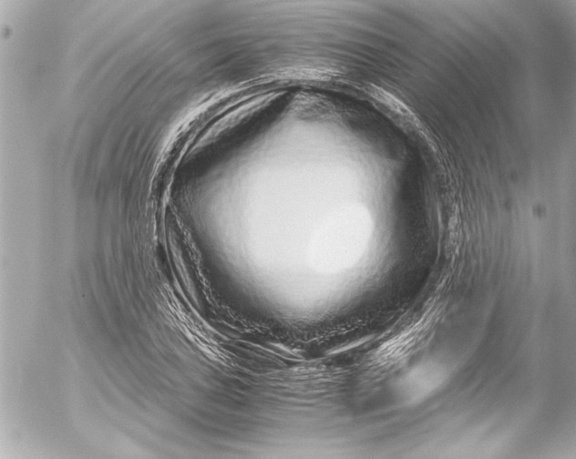 X0000054471027200508191722