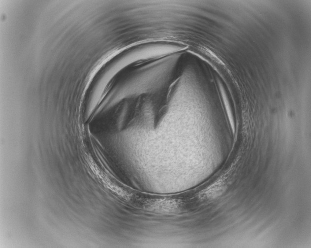 X0000054471029200508191722