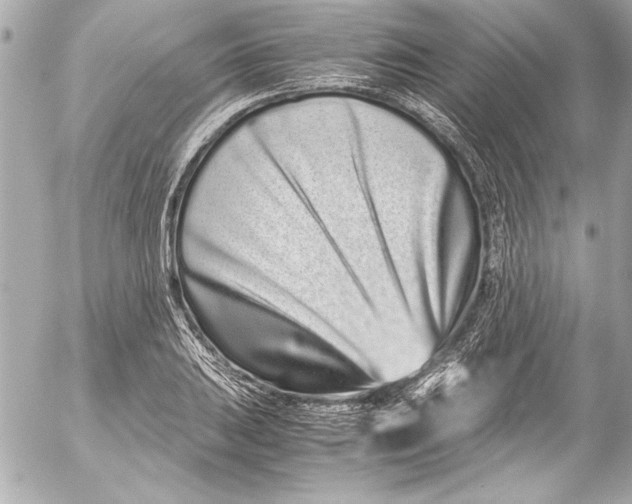 X0000054471031200508191722